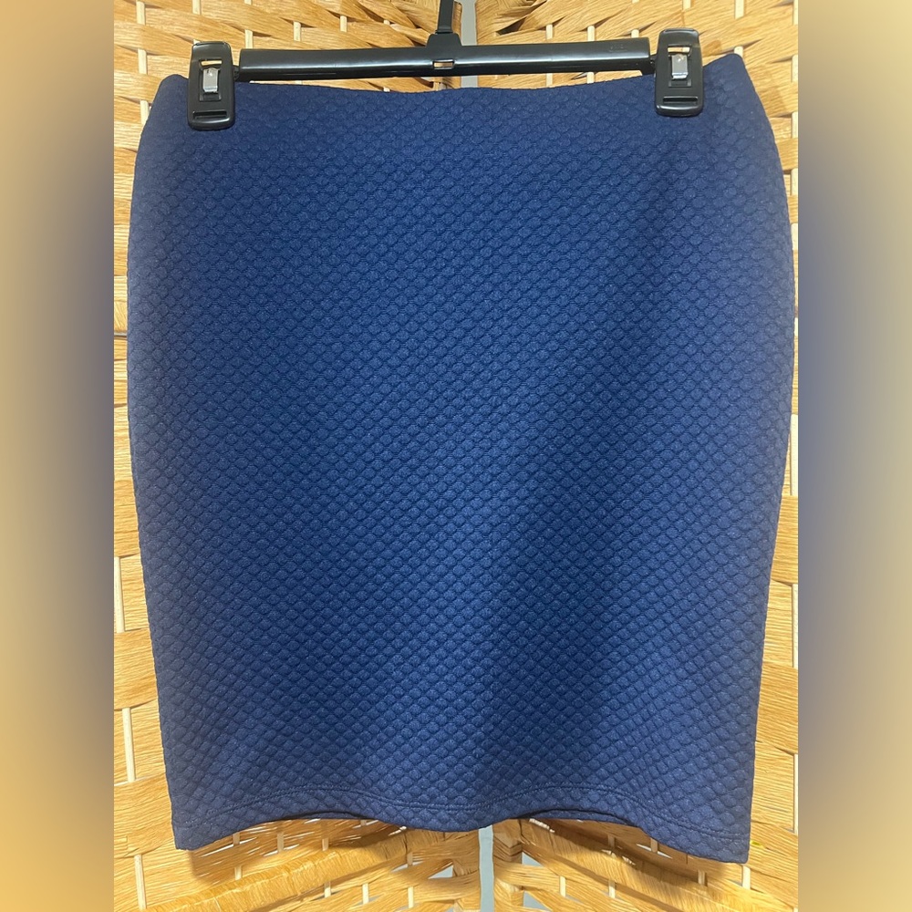 Blue Skirt